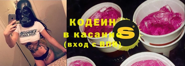 гашик Алексин