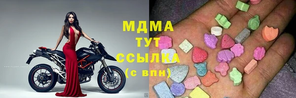 гашик Алексин