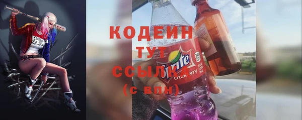 гашик Алексин