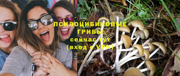 СК Алзамай