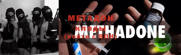 гашик Алексин
