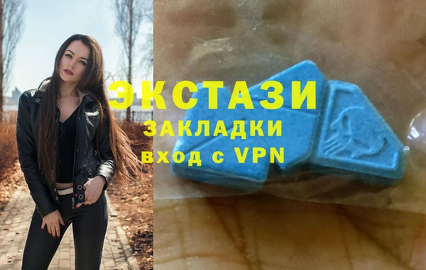 гашик Алексин