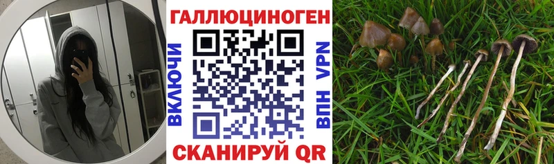 Псилоцибиновые грибы мухоморы  Малаховка 