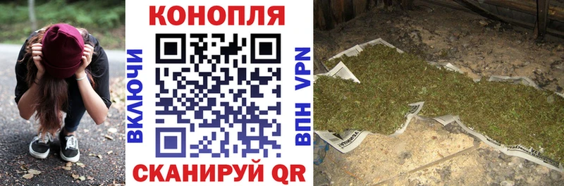 продажа наркотиков  Малаховка  Канабис сатива 